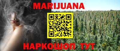 сатива Балаково