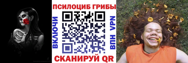 Псилоцибиновые грибы прущие грибы  купить   Батайск 