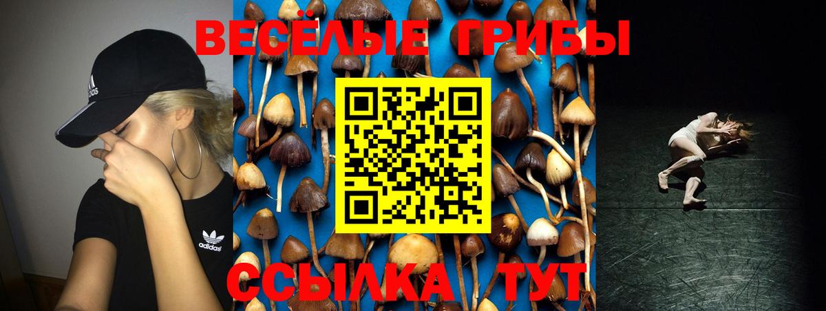 Батайск  Псилоцибиновые грибы мухоморы  Псилоцибиновые грибы MAGIC MUSHROOMS  Вход с VPN 