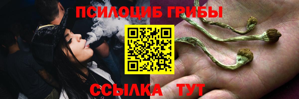Галлюциногенные грибы прущие грибы Батайск